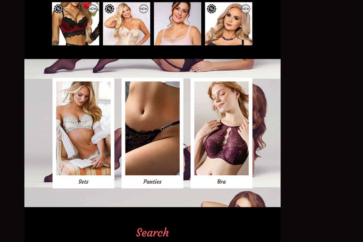 Lingerie Store Website Template, a Websites & App Template by Ordasoft (Photo 2 of 3)