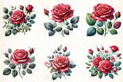 Watercolor Red Roses Clipart Bundle, an Illustration by DreamCafeArt (Thumbnail 3 of 4)