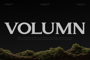 GC Volumn - Elegant Serif Typeface