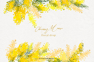 Charming Mimosa - Yellow Flowers PNG