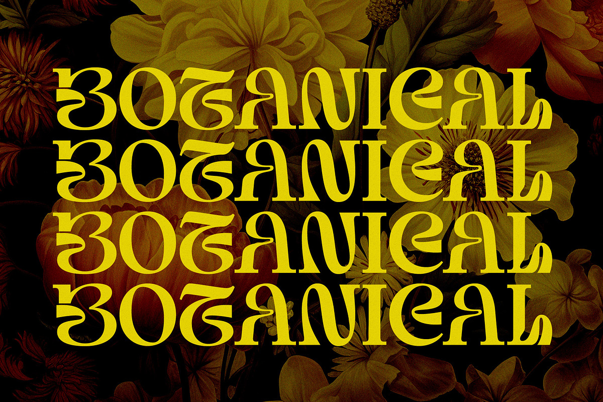 Struick Display Serif, a Serif Font by Violet Natural (Photo 7 of 10)