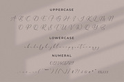Qinarsi, a Script Font by Integritype Studio (Thumbnail 9 of 15)