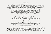 The Louise | Whimsical Script Font, a Script Font by Typoraith Co (Thumbnail 11 of 13)