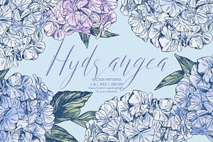 Hydrangea | Vector patterns set