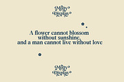 Nexot - Modern Serif Font, a Serif Font by Luna Shop (Thumbnail 6 of 11)