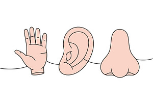 Set of human organ one line colored, an Object Illustration by GraphiShop