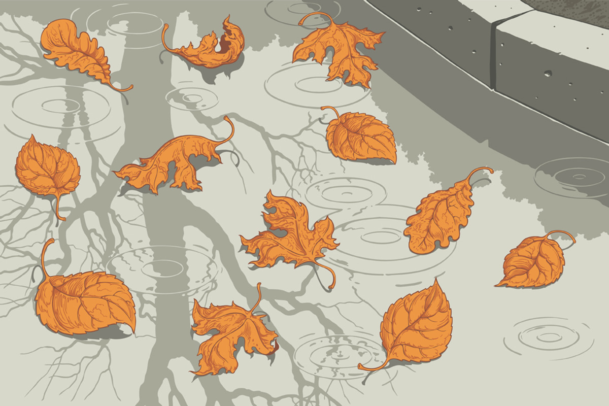 Puddle.Vector engraving, an Object Illustration by Vector Engraving (Photo 4 of 7)