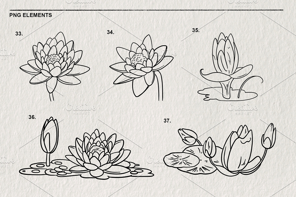 Set of water lilies and flowers PNG, a Decorative Illustration by LOKSKIH (Photo 9 of 10)