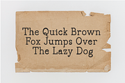 Draftside Typewriter, a Slab Serif Font by Randi Irvan | Rvandtype (Thumbnail 5 of 10)