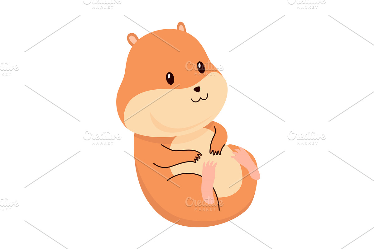Cartoon hamster. Fluffy domestic pet, an Animal Illustration by the8monkey