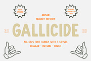 Gallicide With Extras, a Slab Serif Font by MuSan (Thumbnail 7 of 7)