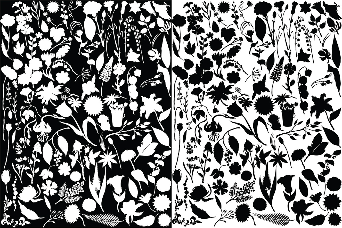 Vector plants and flowers, an Illustration by risovanya (Photo 3 of 5)