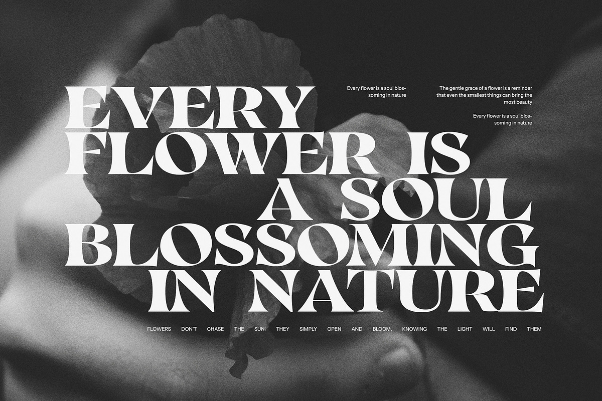Black Bolds Serif Font, a Serif Font by Perfectype (Photo 6 of 8)