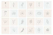 Botanical hand drawn elements, an Outline Icon by mayrum (Thumbnail 9 of 10)