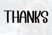 Beauty Snowing, a Sans Serif Font by FreshTypeINK (Thumbnail 6 of 8)