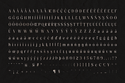 Pure Motif - An Elevated Serif Font, a Serif Font by VP Fonts (Thumbnail 22 of 27)