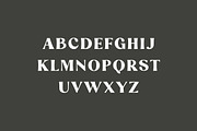 Danilo Catalina Classic Serif Font, a Serif Font by UICreative (Thumbnail 2 of 11)