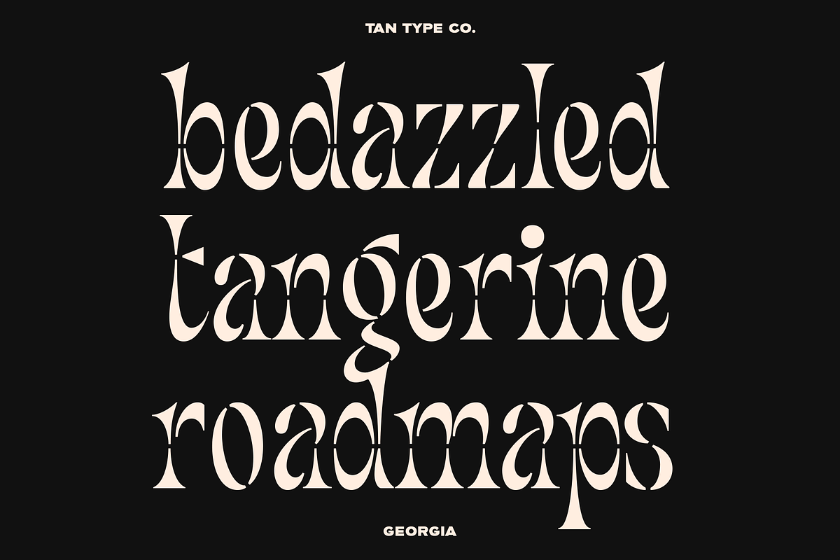 TAN - GEORGIA, a Serif Font by TanType (Photo 5 of 8)