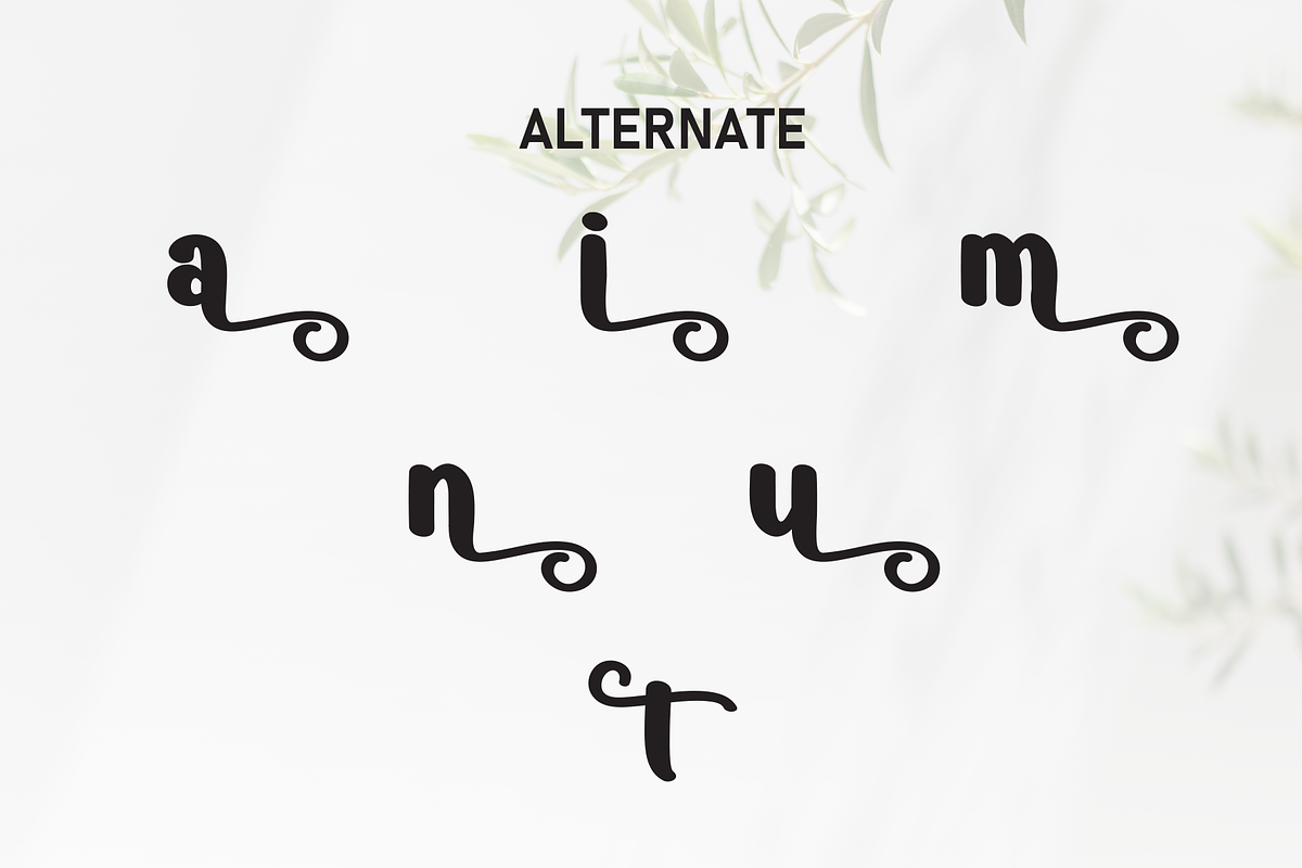 Hostania | Script Font, a Script Font by Scratchones (Photo 8 of 9)