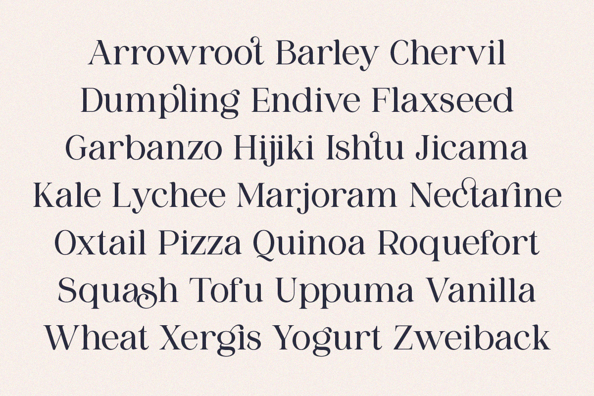 Sangect Display, a Serif Font by Pista Mova (Photo 8 of 12)