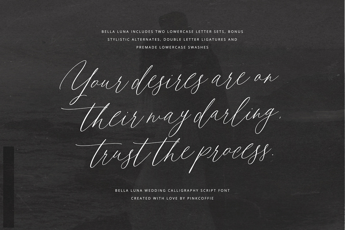 Bella Luna | Feminine Script Font, a Script Font by Pink Coffie (Photo 23 of 30)