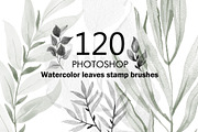 Brushes Bundle for Photoshop., a Brush Add-On by TaPilipa (Thumbnail 14 of 33)