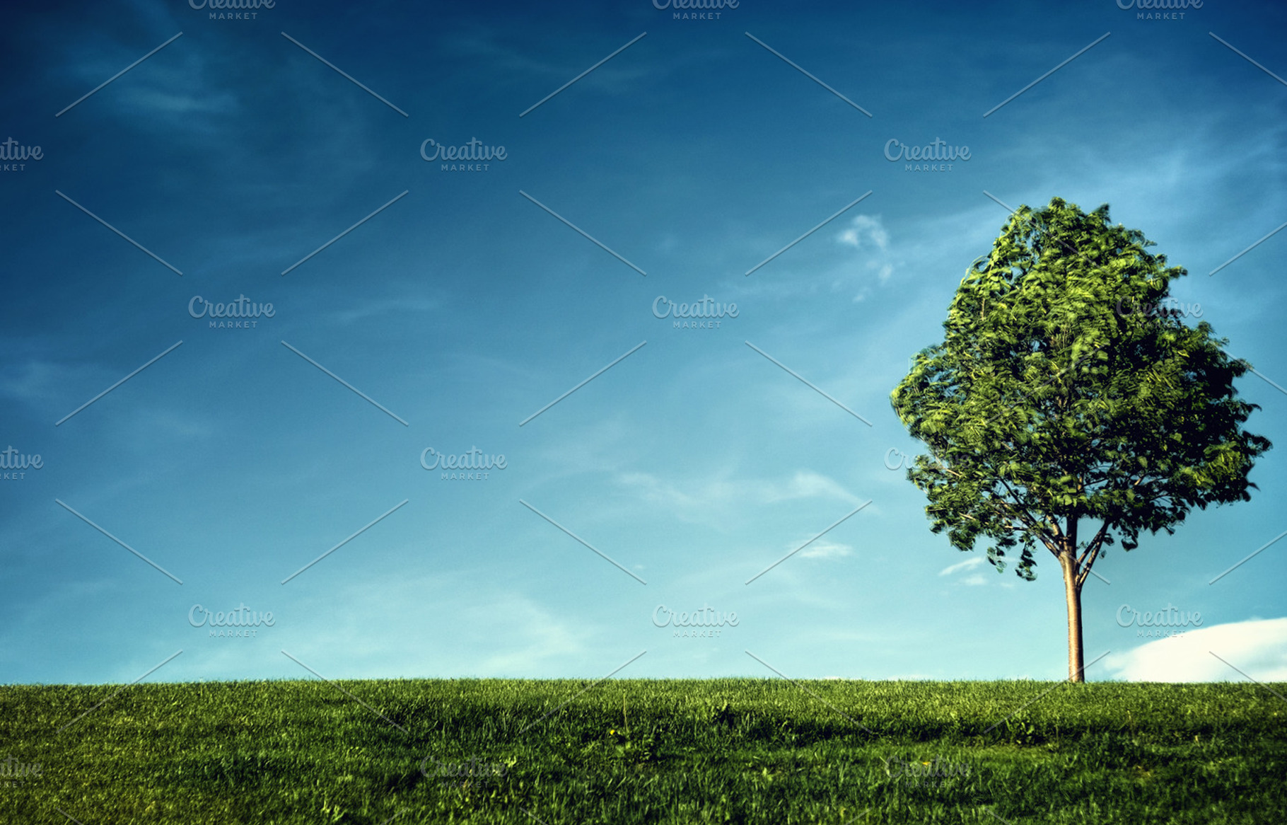 Rhythm of Living, a Nature Photo by Solefield