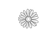 Daisy Flower Line Art Vector Bundle0, an Illustration by jahid234 (Thumbnail 3 of 51)