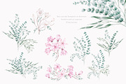 Elegant magnolias and eucalyptus, an Illustration by astelenadesign (Thumbnail 7 of 16)