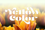 Trimo, a Serif Font by Khoir (Thumbnail 8 of 12)