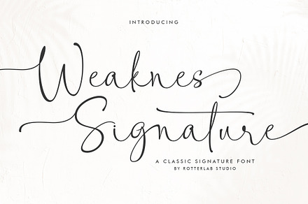 Weaknes Signature | Handwritten Font, a Script Font by Rotterlab Studio