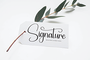 Homestay | Script Font, a Handwritten Font by Scratchones (Thumbnail 3 of 9)