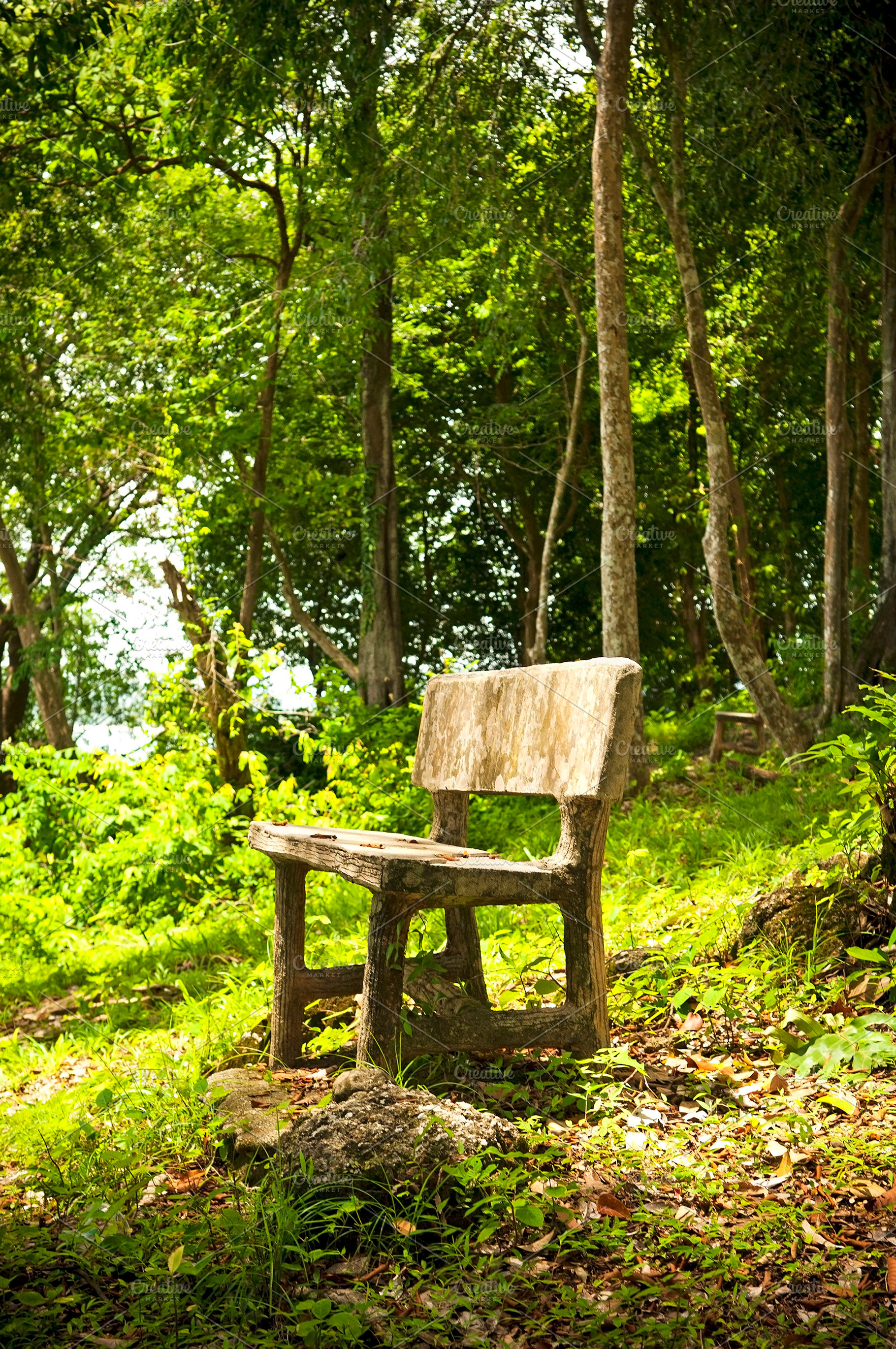 Forest Seat, a Nature Photo by THP Creative