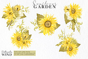 Watercolor Sunflowers Clipart, an Illustration by Ksenia Shmakova (Thumbnail 4 of 12)