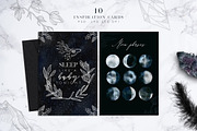 Lunare. Mysterious Graphic Set, an Animal Illustration by Muse Artist (Thumbnail 10 of 16)