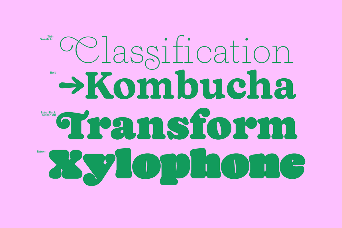 65% OFF Naiche Font Family, a Serif Font by Sundance Tipografia (Photo 8 of 15)