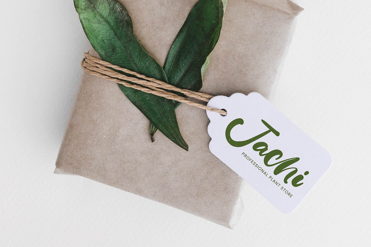 Bumble Ritual Bold Handwritten Font, a Script Font by Letterena Studios Script (Photo 6 of 20)