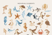 Watercolor Under Sea Collection, an Animal Illustration by Jenteva Art (Thumbnail 13 of 14)
