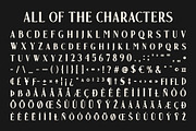 Qualey Blur, a Serif Font by Craft Supply Co. (Thumbnail 8 of 8)