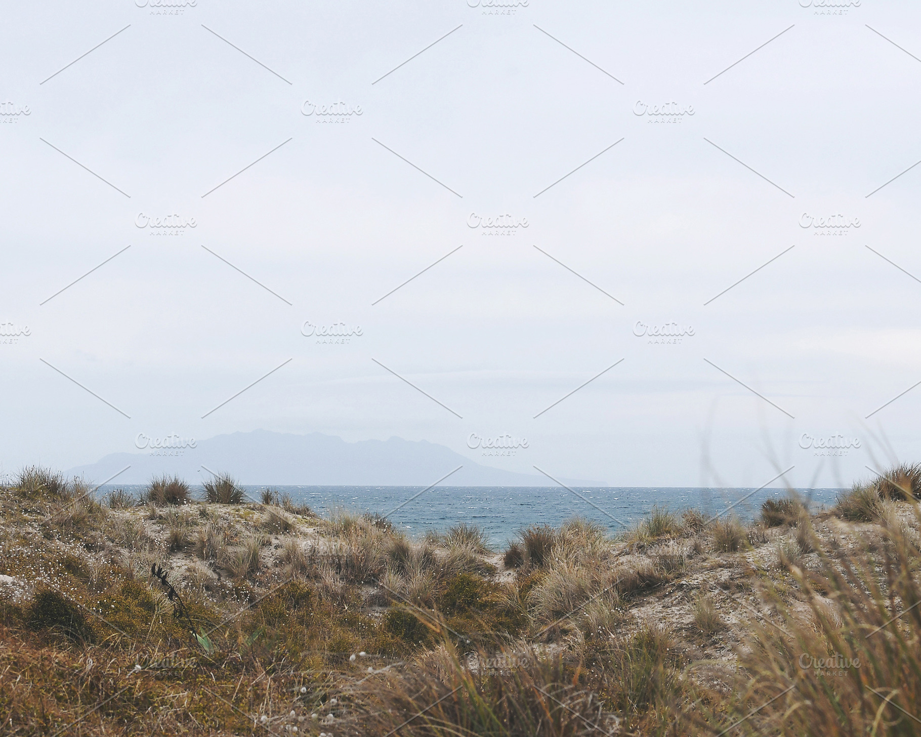 Neutral Tones Beach Landscape Photo, a Nature Photo by Dee Andreoli Photography