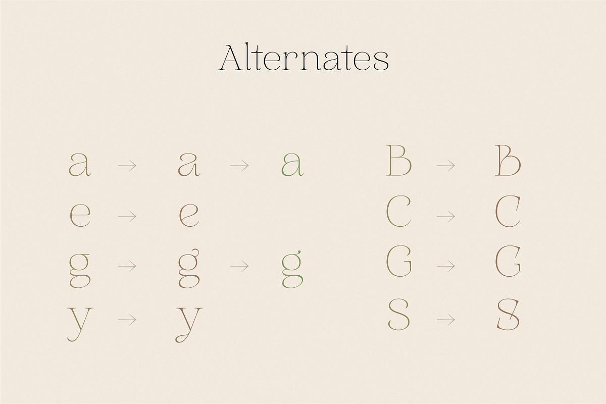 Aurelius - Feminine Chic Serif, a Serif Font by Harmonais Visual (Photo 27 of 35)