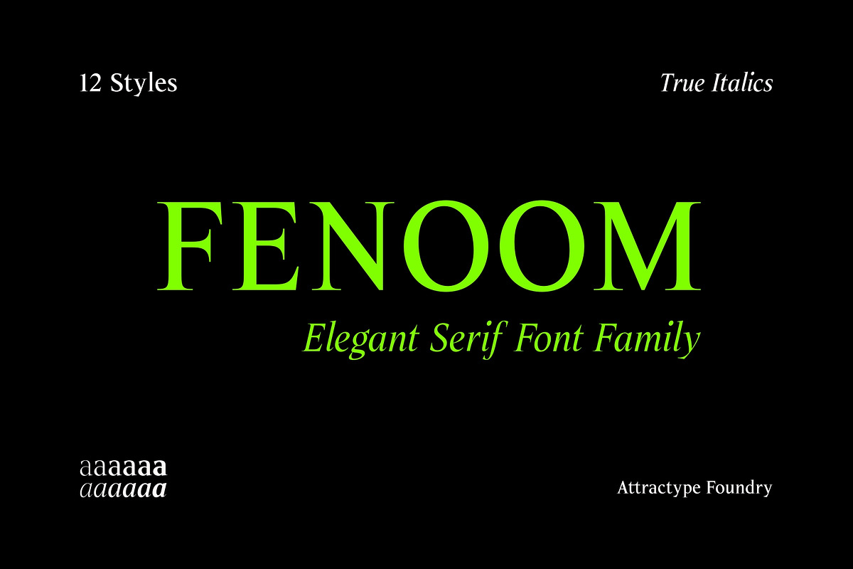 Fenoom Elegant Serif Font, a Serif Font by Attractype (Photo 1 of 8)