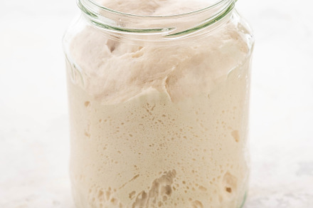 Natural leaven for bread in a glass featuring leaven, bread, and healthy