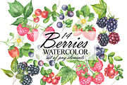 Wild Berry Watercolor Clipart, a Food Illustration by OlDm_Shop (Thumbnail 1 of 8)
