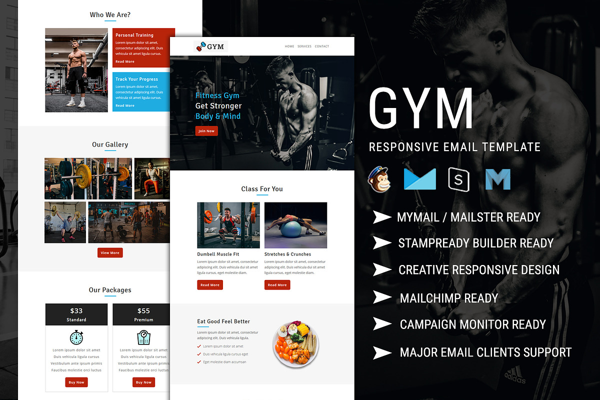 Fitness Gym Email Template, an Email Template by Pennyblack Templates
