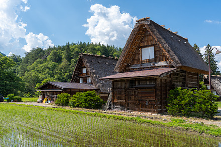 Traditional houses and rice fields in Shirakawa-go, rural Japan, an Architecture Photo by GoodGoods
