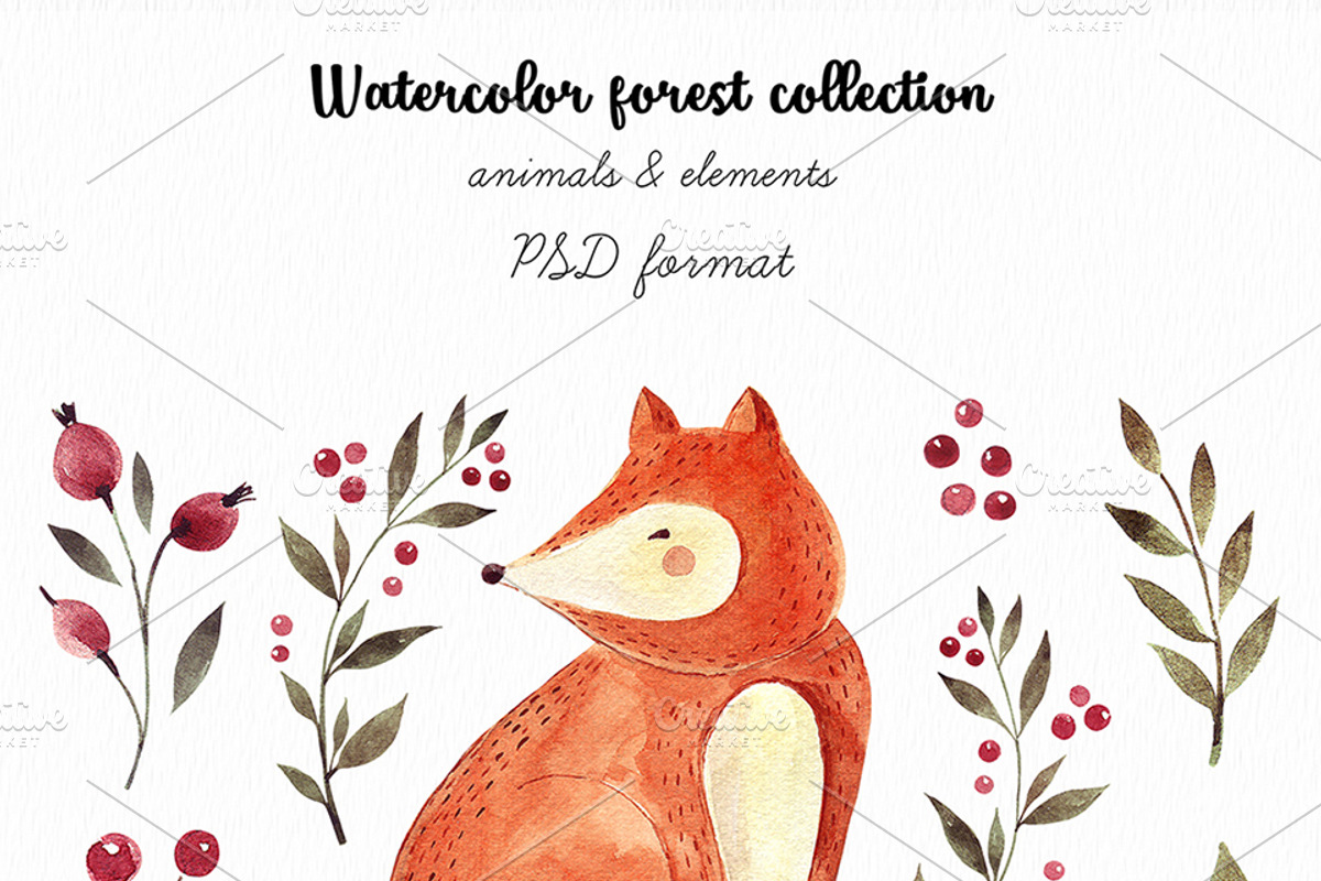Watercolor autumn collection, an Animal Illustration by MoleskoStudio (Photo 4 of 10)