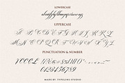 Switzerland Stylish Calligraphy, a Font by typeline studio (Thumbnail 9 of 12)