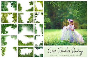 120 Green Tree Branches Overlays