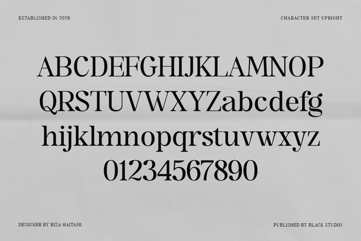The Serifon Editorial, a Serif Font by Black Studio (Photo 14 of 17)